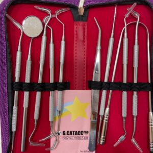 dental hygiene training kit