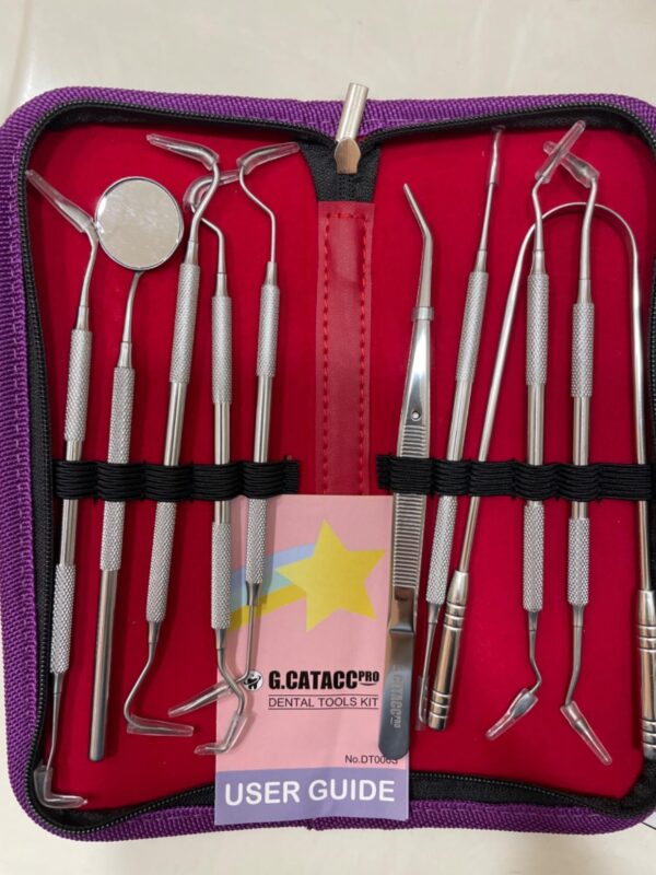 dental hygiene training kit